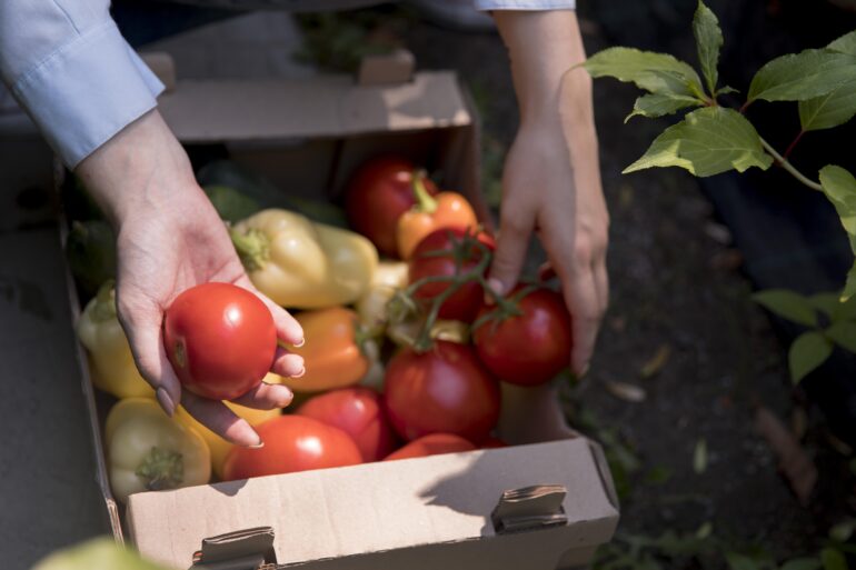 Agroalimentare