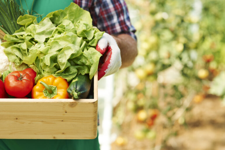 rapporto agroalimentare